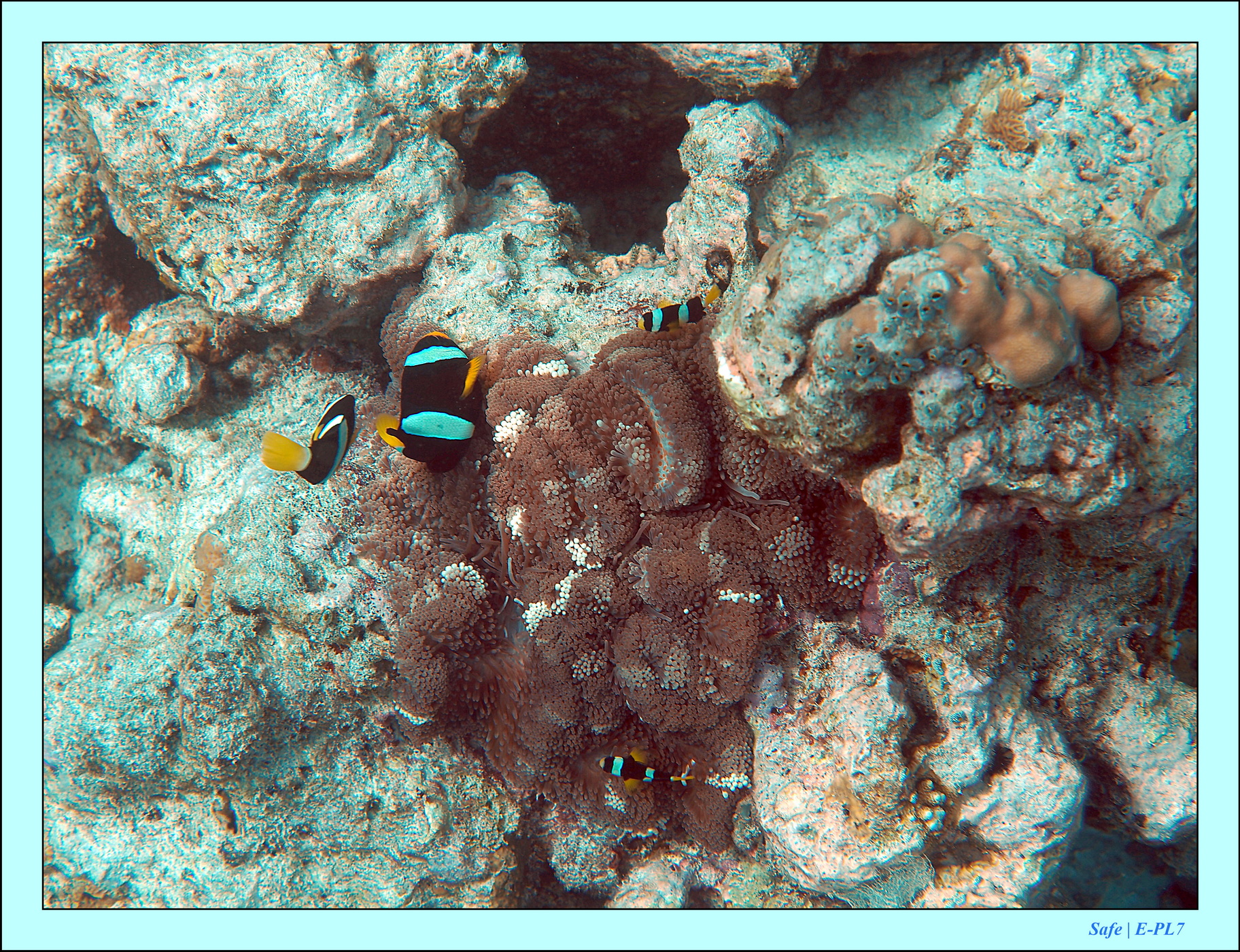 2023 - 07 - Sandies Bathala - 211